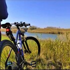 Giornata Mondiale della Bicicletta: Ostia e il Parco Archeologico di Ostia Antica si preparano per l'evento speciale gratuito rivolto ai fan delle due ruote