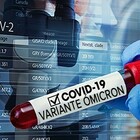 Variante Omicron, 13 casi rilevati in Italia