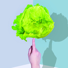 Verdure: vero o falso? Gli effetti e i “falsi” miti della dieta green dopo le scorpacciate