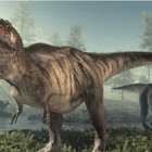Asta record per uno scheletro di Tyrannosaurus Rex, venduto per 31,85 milioni di dollari