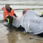 Nuova Zelanda, branco di balene si spiaggia sulla penisola di Coromandel: è strage