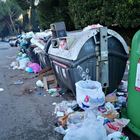 Allarme rifiuti nel quartiere Due Ponti, i residenti: "Siamo sommersi"