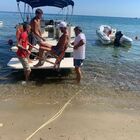 immagine Castellabate, volontari multati nell'area marina protetta: scoppia la bufera