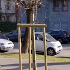 Milano choc, un uomo cerca di rapire una bambina di 4 anni al parco: messo in fuga dalla babysitter