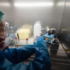 Coronavirus: contagi record in Umbria, aumentano i ricoveri