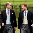 Il principe Harry rivela: «Con William abbiamo preso due strade diverse»