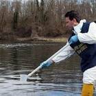 Arpav lancia l'allarme: più Pfas e pesticidi nelle acque del Polesine