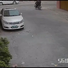 Caccia ai killer dei cani: sparano dardi avvelenati da uno scooter