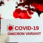 Omicron? Si va verso quarta dose, adattamento ed endemicità. Un cugino di Sars Cov-2 è la "sentinella"