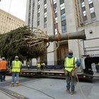 New York, è arrivato l'albero di Natale al Rockefeller Center