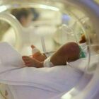 Neonato malato trasferito al Bambino Gesù dall’Inghilterra, presto l'operazione. I genitori: «Lì i medici ci avevano detto di abortire»