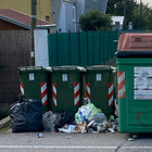Cumuli di rifiuti in via Udine e tra i sacchetti spuntano le pantegane