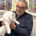 Nino Frassica e il gatto scomparso. L’attore ritira la ricompensa: «Non è stato rubato da nessuno perché…»