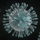 Coronavirus, un'altra persona è morta: la polmonite misteriosa ora allarma