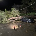 Maltempo sul Salento: alberi caduti e auto distrutte. E domani due scuole resteranno chiuse