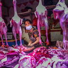 Wuhan vieta carne selvaggina per 5 anni: misure drastiche contro consumo