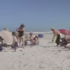 Il gabbiano la fa sui bambini in spiaggia. Le mamme felici: non è come sembra