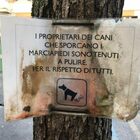 Escrementi dei cani davanti alla chiesa, sfogo social del parroco: «Fategli fare i bisogni a casa»