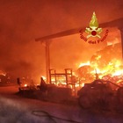 Devastante incendio in un'azienda agricola: in fiamme 1600 quintali di foraggio, salvi gli animali