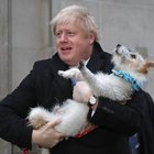 Brexit, Boris Johnson insieme al suo cane Dilyn dopo il voto