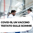 Coronavirus, vaccino: speranze anche dalla Cina