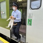 Gatto "clandestino" a bordo, il treno ritarda di 30 secondi: in Giappone diventa un caso