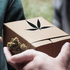Ordina online sciroppo e sigari alla marijuana, il pacco consegnato dai finanzieri travestiti da corrieri: arrestato un 24enne
