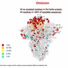 Omicron inguaia la Francia: 50 mila casi al giorno. E Moderna raddoppia la dose del vaccino