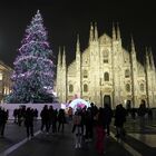 A Milano è già Natale: il Comune a caccia di sponsor per albero, luminarie e mercatini