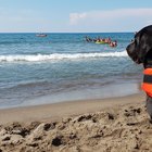 A Pescia Romana per salvare vite umane ci sono i cani della Sics