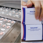 Antivirale Paxlovid, rivoluzione al via: prescrizione dal medico di famiglia 