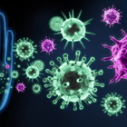 Covid, scoperti anticorpi che bloccano infezione e varianti