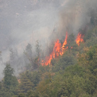 Incendio sul monte Faito, il sindaco: «Fiamme in aumento, soccorsi non sono sufficienti»