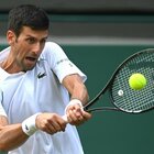 Wimbledon, sarà Djokovic l'avversario di Berrettini in finale. Battuto in 3 set Shapovalov