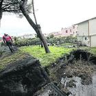 Frane, fango e pini crollati: è allarme rosso sul Vesuvio