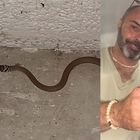 Serpenti a Roma, panico in un condominio alla Bufalotta. «Correte, si è nascosto tra i motorini». L’esperto: «Il suo morso è ricco di batteri»