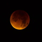 Eclissi di luna totale, cosa succederà in cielo tra pochi giorni: quando ammirare la luna rossa