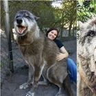La ragazza e il "lupo gigante", cosa si nasconde dietro il video diventato virale