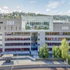 Oslo, terrore a scuola: giovane studente accoltella prof e bidelli con un'arma da taglio, quattro feriti