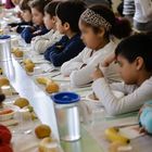 Roma, menu vegano a scuola bocciato dai bambini. La protesta delle mamme: «Portate i panini»