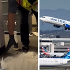 Cane dirotta l'aereo, non è riuscito a trattenere i bisogni. L'atterraggio d'emergenza: «L'odore non andava via»