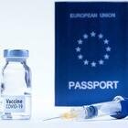 Vaccini, la grande fuga dalla Ue: in un mese esportati 174 carichi