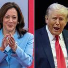 immagine Trump-Harris, dai sussidi ai muri anti-migranti: i programmi dei due candidati e la sfida americana degli opposti populismi