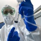 Coronavirus: 53 nuovi positivi e un nuovo decesso a Terapia intensiva, si tratta di una donna di 54 anni di Rieti