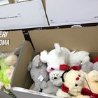 Roma, giocattoli e cosmetici pericolosi per la salute: sequestrati centinaia di prodotti