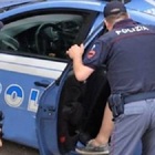 Cocaina allo stadio, ultras del Verona nei guai: 12 arresti per spaccio, coinvolto anche un bar