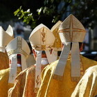 Papa Francesco spinge la Cei per il Sinodo in Italia
