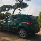 Bracconieri in azione nella Riserva Naturale di Ostia. I carabinieri forestale denunciano due pensionati
