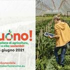 Dieta mediterranea, Di Maio e Patuanelli: «Impegno su sicurezza dell'alimentazione»