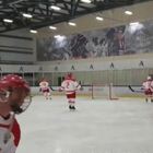 Putin e Lukashenko giocano a hockey dopo l'incontro diplomatico a San Pietroburgo